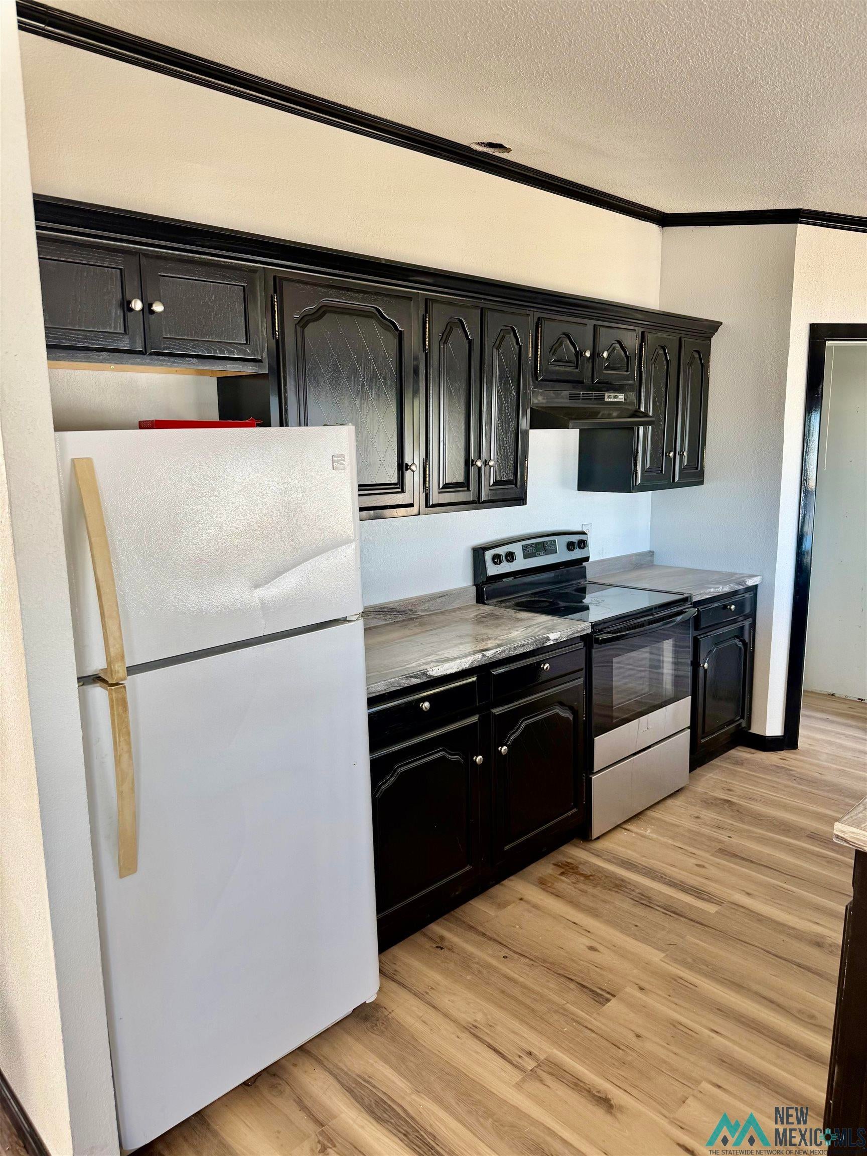 207 Chuckwagon Road Carlsbad, NM 88220 - Photo 3 of 19 Kitchen featuring stainless steel electric range oven, freestanding refrigerator, light countertops, light wood-type flooring, and a textured ceiling