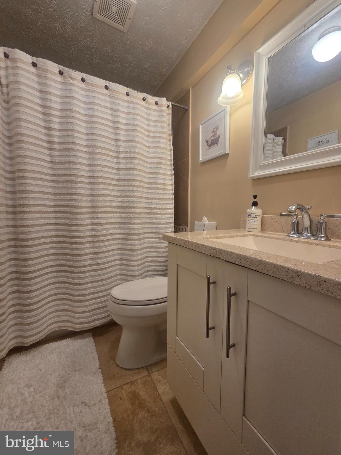 361 The Hill Road Basye, VA 22810 - Photo 11 of 25 Bath