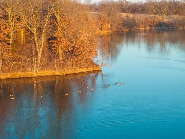 $950,000 | 0 Cr 371 N/a Bosworth Mo 64623 N/a, Bosworth, MO 64623