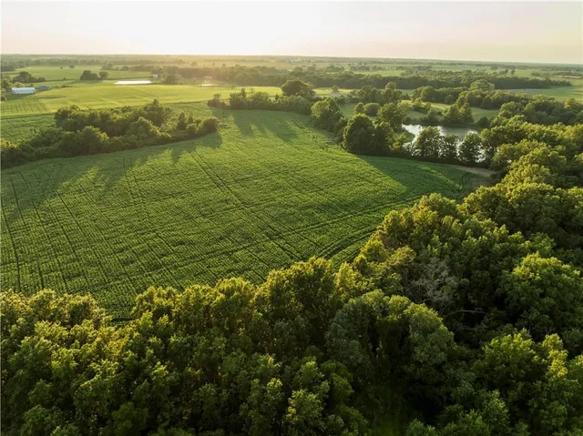 $1,100,000 | 0 Cr 371 N/a Bosworth Mo 64623 N/a, Bosworth, MO 64623
