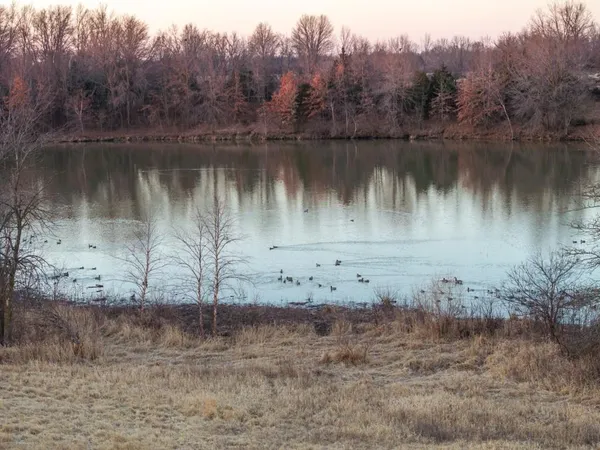 $950,000 | 0 Cr 371 N/a Bosworth Mo 64623 N/a, Bosworth, MO 64623