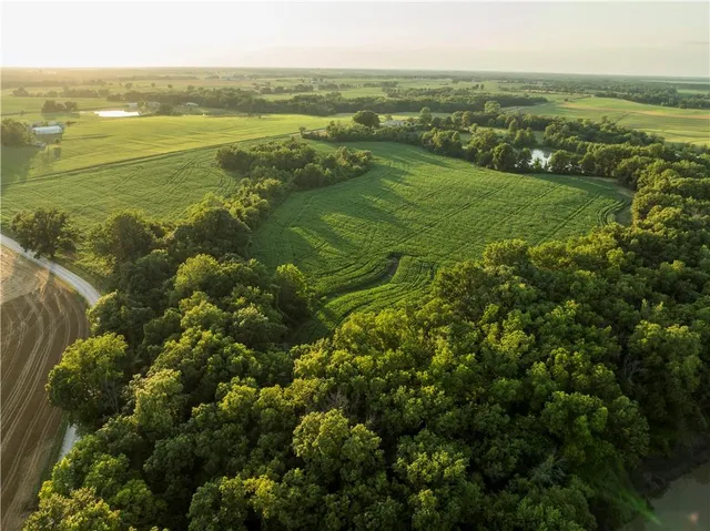 $1,100,000 | 0 Cr 371 N/a Bosworth Mo 64623 N/a, Bosworth, MO 64623