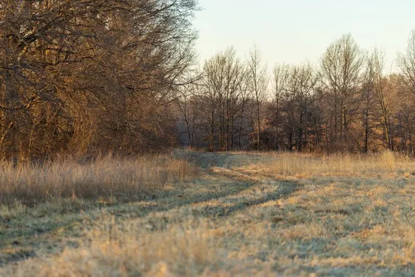 $950,000 | 0 Cr 371 N/a Bosworth Mo 64623 N/a, Bosworth, MO 64623