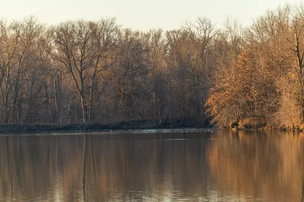 $950,000 | 0 Cr 371 N/a Bosworth Mo 64623 N/a, Bosworth, MO 64623