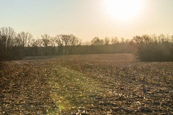 $950,000 | 0 Cr 371 N/a Bosworth Mo 64623 N/a, Bosworth, MO 64623