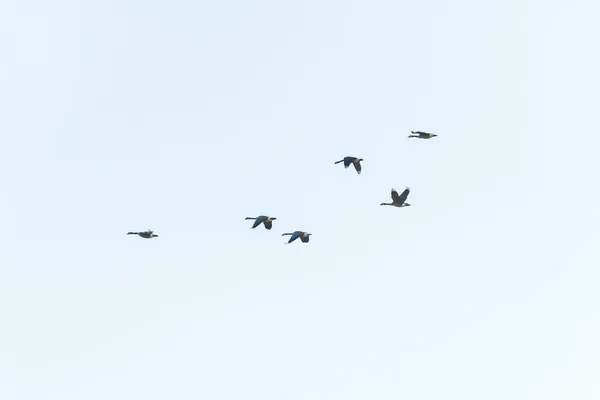 $950,000 | 0 Cr 371 N/a Bosworth Mo 64623 N/a, Bosworth, MO 64623