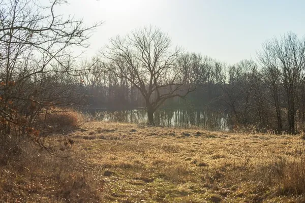 $950,000 | 0 Cr 371 N/a Bosworth Mo 64623 N/a, Bosworth, MO 64623