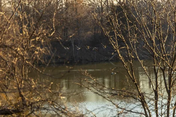 $950,000 | 0 Cr 371 N/a Bosworth Mo 64623 N/a, Bosworth, MO 64623