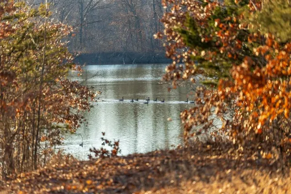 $950,000 | 0 Cr 371 N/a Bosworth Mo 64623 N/a, Bosworth, MO 64623