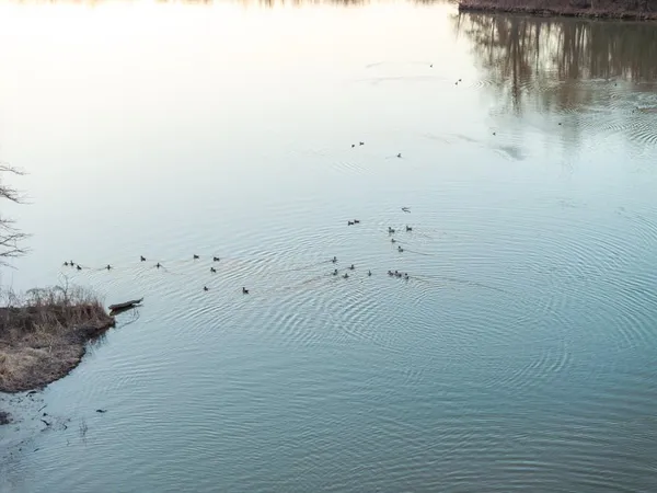 $950,000 | 0 Cr 371 N/a Bosworth Mo 64623 N/a, Bosworth, MO 64623