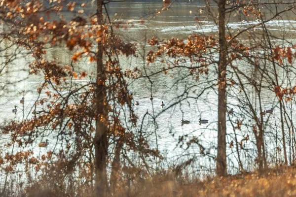 $950,000 | 0 Cr 371 N/a Bosworth Mo 64623 N/a, Bosworth, MO 64623