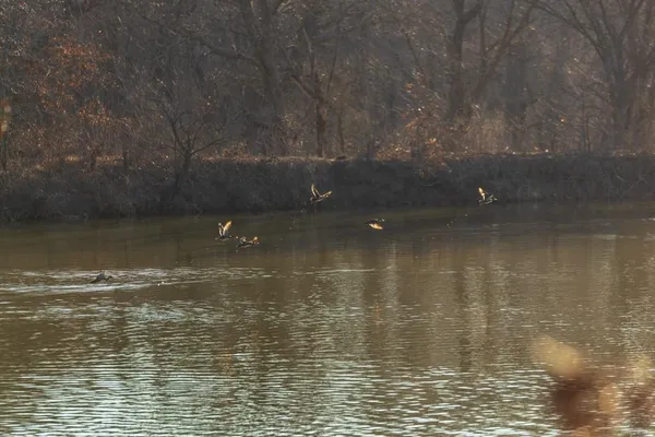 $950,000 | 0 Cr 371 N/a Bosworth Mo 64623 N/a, Bosworth, MO 64623