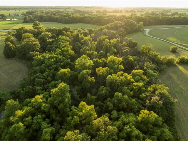 $1,100,000 | 0 Cr 371 N/a Bosworth Mo 64623 N/a, Bosworth, MO 64623