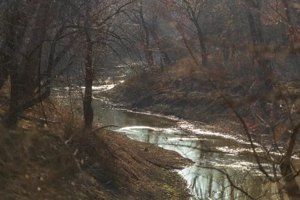 $950,000 | 0 Cr 371 N/a Bosworth Mo 64623 N/a, Bosworth, MO 64623