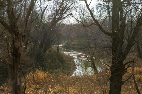 $950,000 | 0 Cr 371 N/a Bosworth Mo 64623 N/a, Bosworth, MO 64623