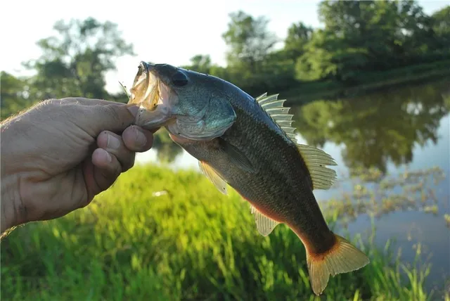 $1,100,000 | 0 Cr 371 N/a Bosworth Mo 64623 N/a, Bosworth, MO 64623