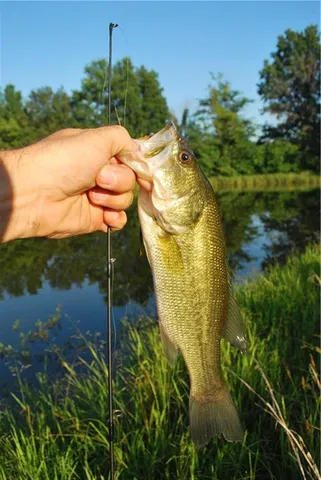 $1,100,000 | 0 Cr 371 N/a Bosworth Mo 64623 N/a, Bosworth, MO 64623