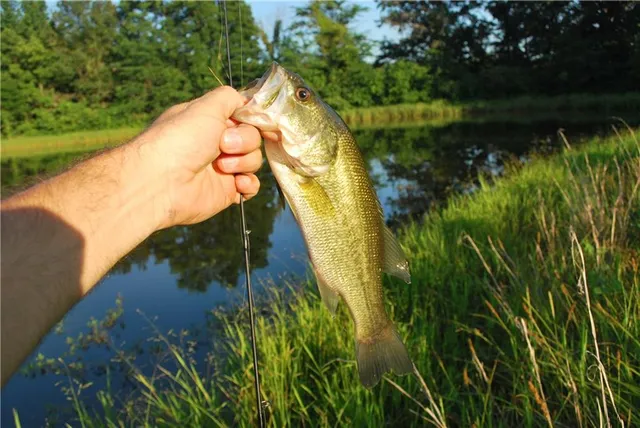 $1,100,000 | 0 Cr 371 N/a Bosworth Mo 64623 N/a, Bosworth, MO 64623