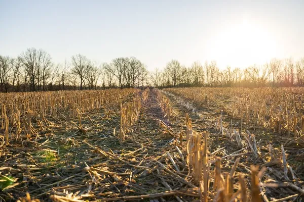 $950,000 | 0 Cr 371 N/a Bosworth Mo 64623 N/a, Bosworth, MO 64623