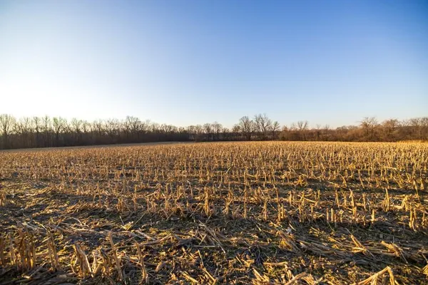 $950,000 | 0 Cr 371 N/a Bosworth Mo 64623 N/a, Bosworth, MO 64623