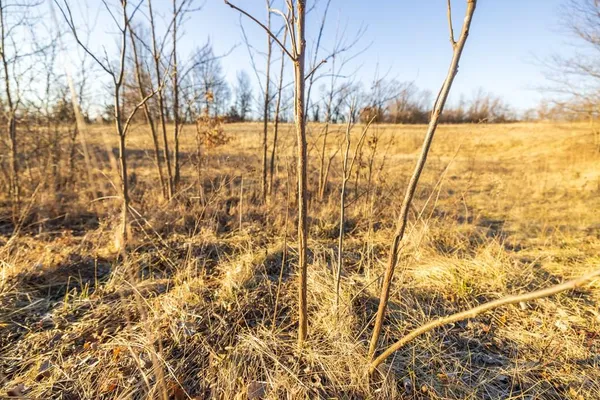 $950,000 | 0 Cr 371 N/a Bosworth Mo 64623 N/a, Bosworth, MO 64623