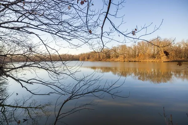 $950,000 | 0 Cr 371 N/a Bosworth Mo 64623 N/a, Bosworth, MO 64623