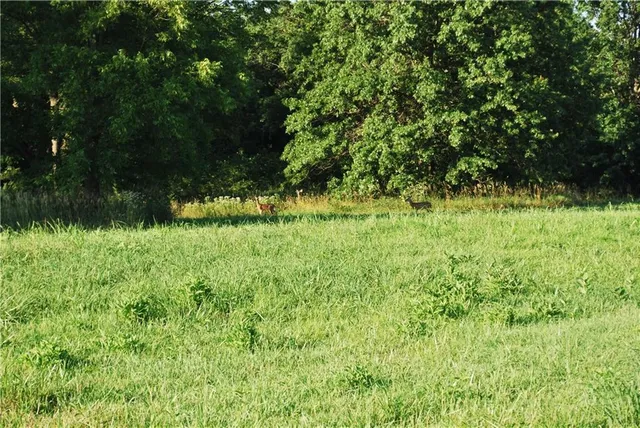 $1,100,000 | 0 Cr 371 N/a Bosworth Mo 64623 N/a, Bosworth, MO 64623