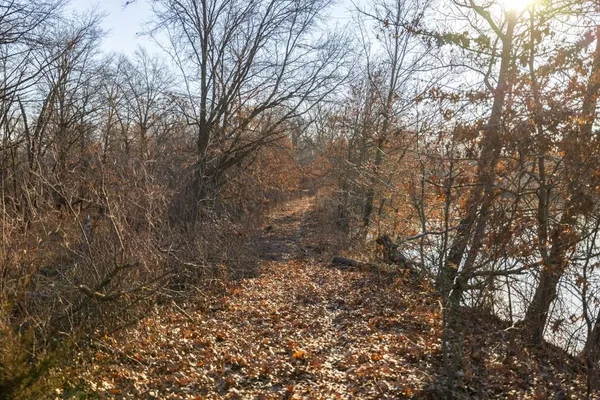 $950,000 | 0 Cr 371 N/a Bosworth Mo 64623 N/a, Bosworth, MO 64623