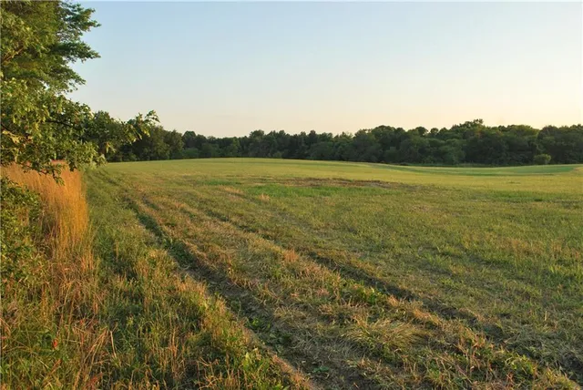 $1,100,000 | 0 Cr 371 N/a Bosworth Mo 64623 N/a, Bosworth, MO 64623