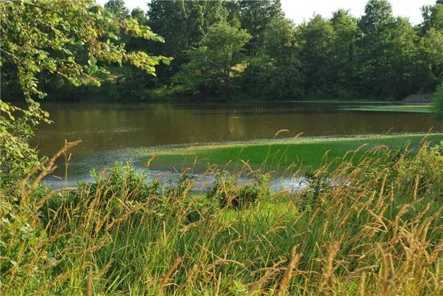 $1,100,000 | 0 Cr 371 N/a Bosworth Mo 64623 N/a, Bosworth, MO 64623