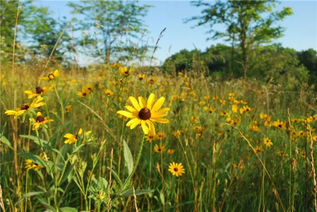 $1,100,000 | 0 Cr 371 N/a Bosworth Mo 64623 N/a, Bosworth, MO 64623