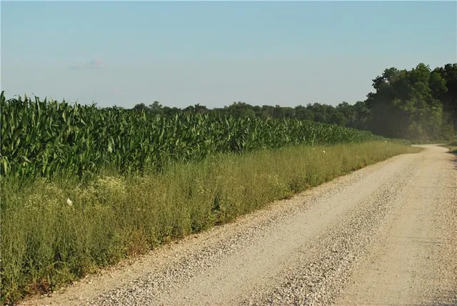 $1,100,000 | 0 Cr 371 N/a Bosworth Mo 64623 N/a, Bosworth, MO 64623