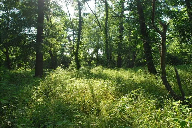 $1,100,000 | 0 Cr 371 N/a Bosworth Mo 64623 N/a, Bosworth, MO 64623