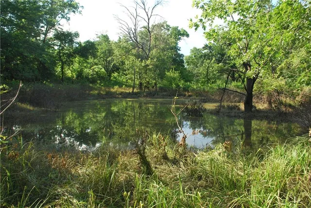 $1,100,000 | 0 Cr 371 N/a Bosworth Mo 64623 N/a, Bosworth, MO 64623