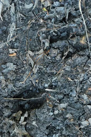 $1,100,000 | 0 Cr 371 N/a Bosworth Mo 64623 N/a, Bosworth, MO 64623