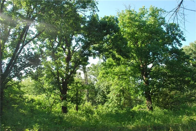 $1,100,000 | 0 Cr 371 N/a Bosworth Mo 64623 N/a, Bosworth, MO 64623