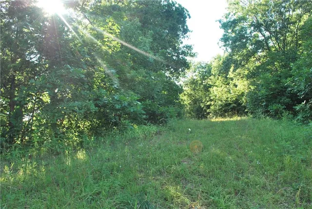 $1,100,000 | 0 Cr 371 N/a Bosworth Mo 64623 N/a, Bosworth, MO 64623