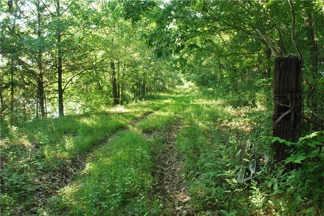 $1,100,000 | 0 Cr 371 N/a Bosworth Mo 64623 N/a, Bosworth, MO 64623