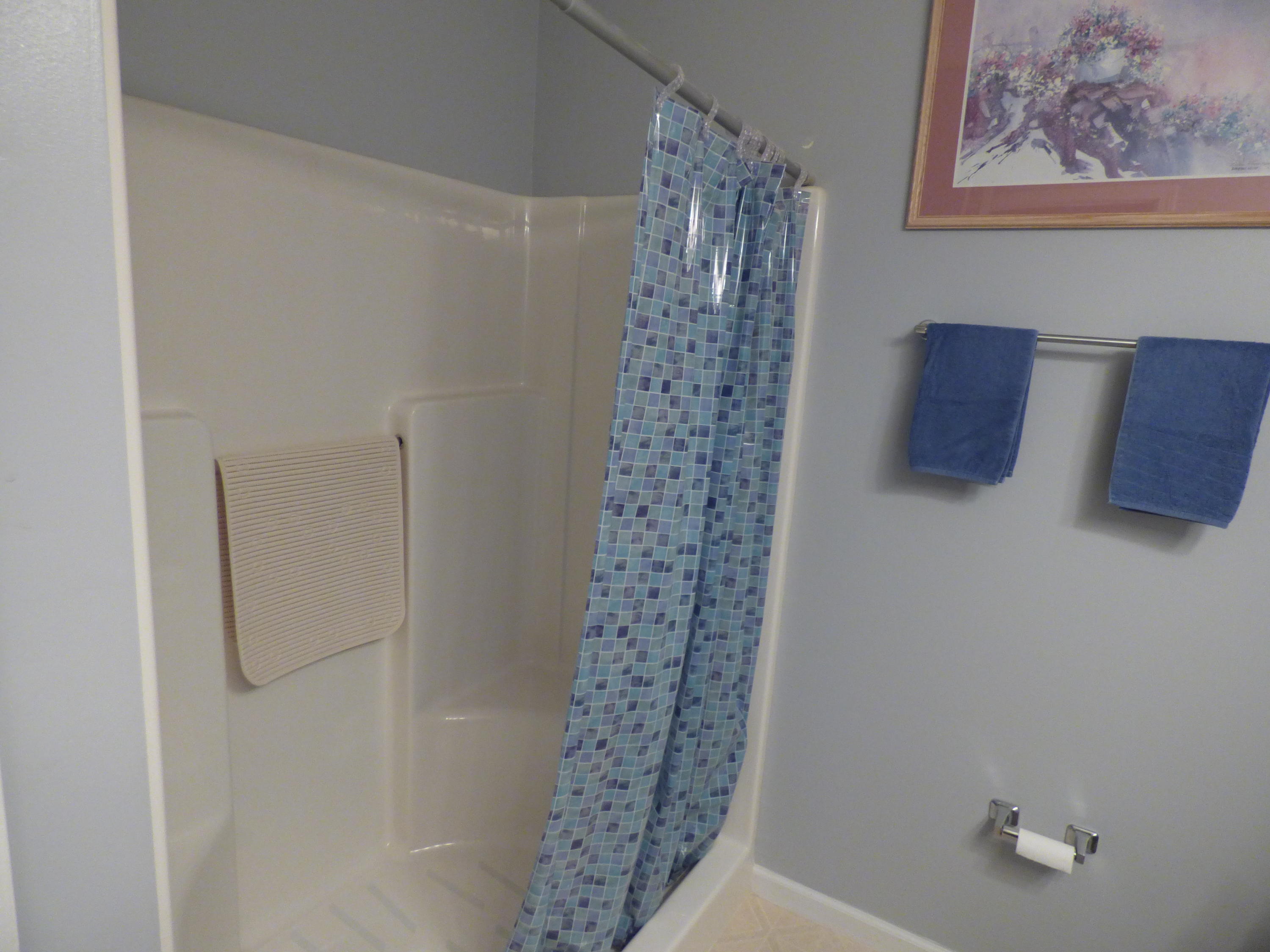 8060 Stablegate Way Powell, TN 37849 - Photo 15 of 18 walkin shower
