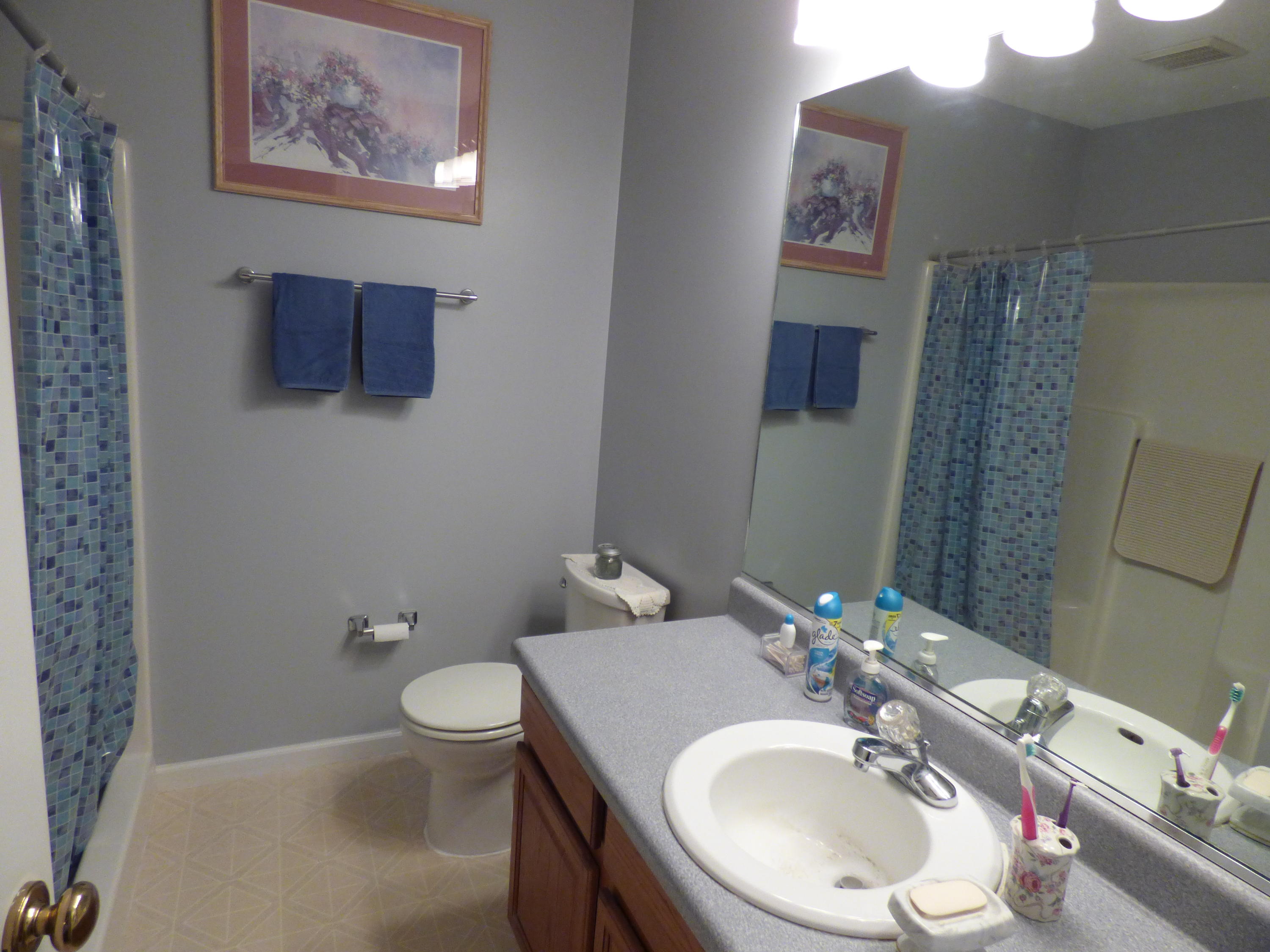 8060 Stablegate Way Powell, TN 37849 - Photo 16 of 18 master bath