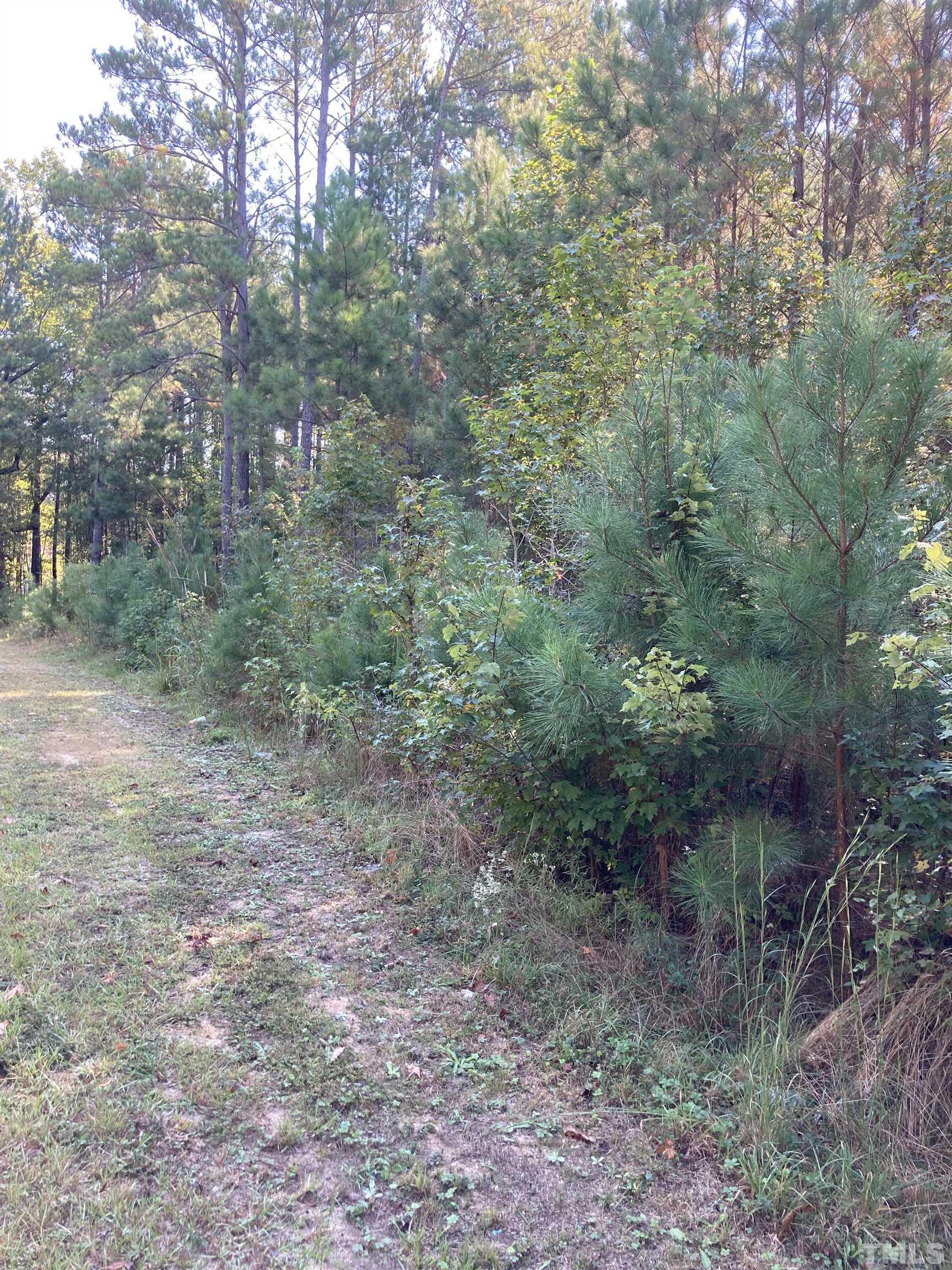 3148 Walters Road Creedmoor, NC 27522 - Photo 3 of 5 a view of a forest with trees in the background