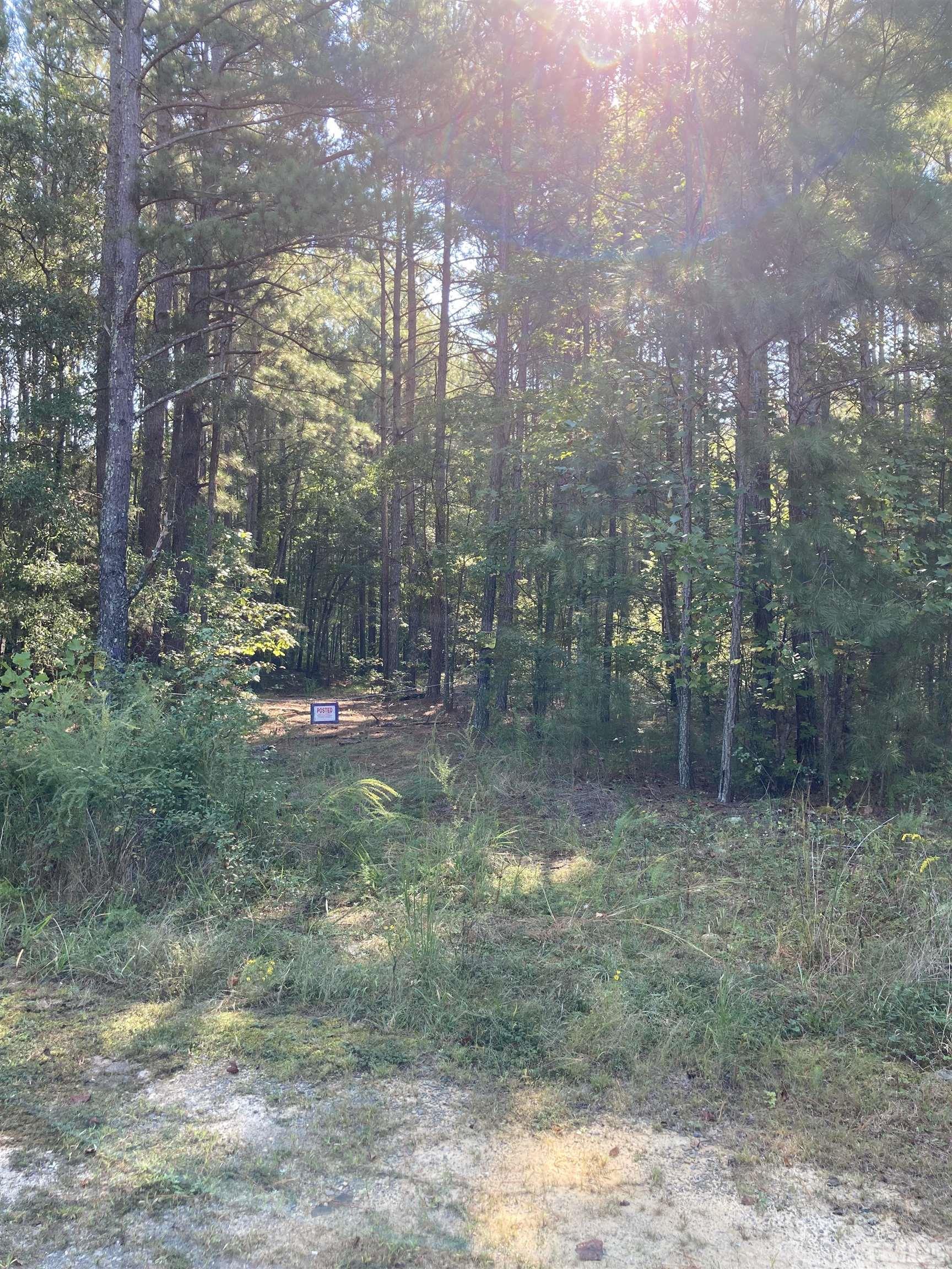 3148 Walters Road Creedmoor, NC 27522 - Photo 5 of 5 a view of outdoor space and green space