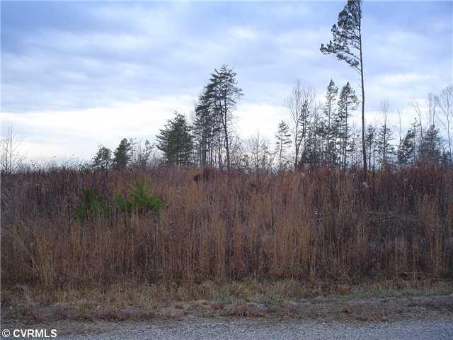 0 Woodmans Road Crewe, VA 23930 - Photo 1 of 1 Land