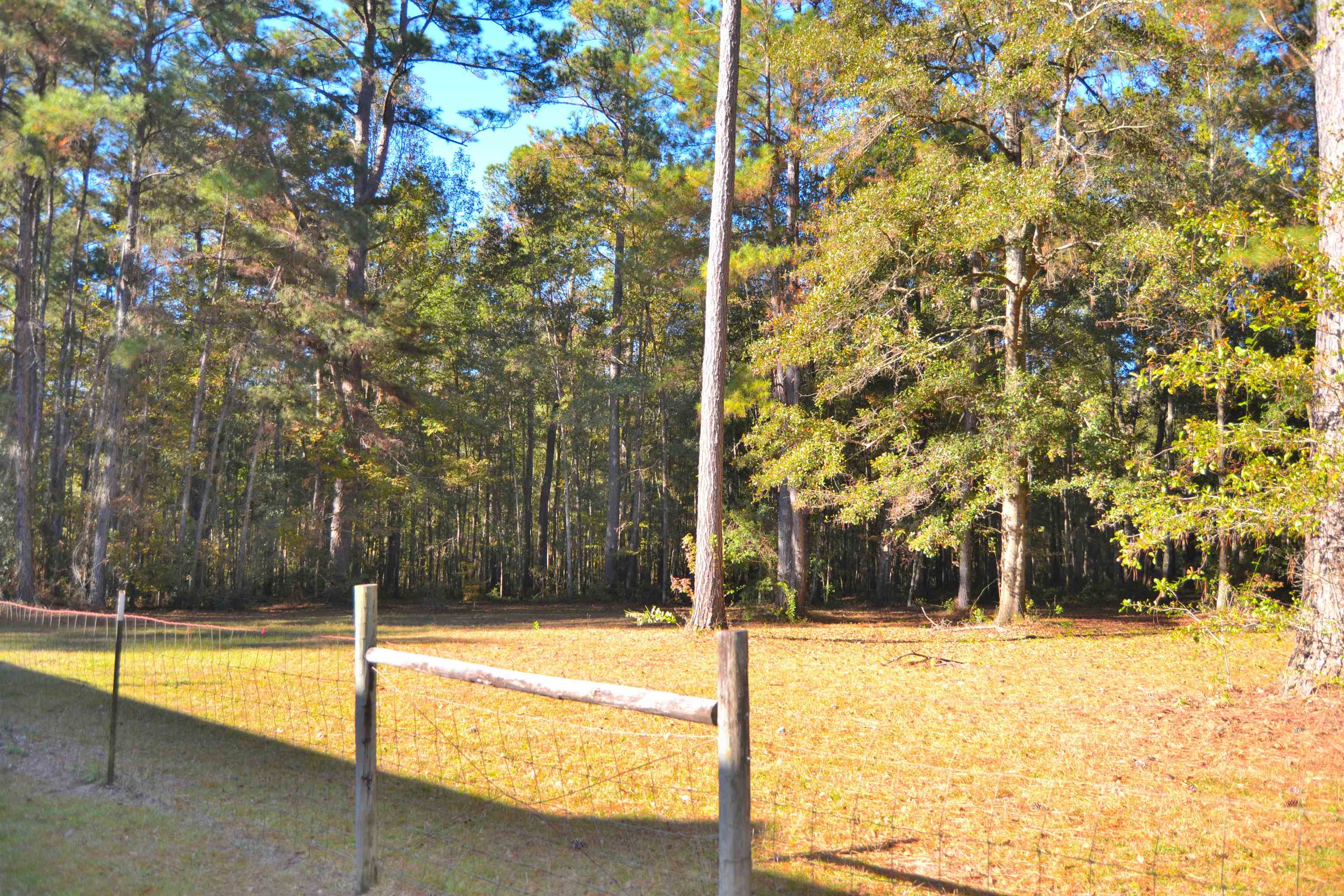 1317 Ridge Road Monticello, FL 32344 - Photo 7 of 33 Gallery Image 7