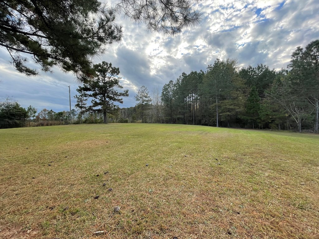 561 Stump Town Road Silver Creek, MS 39663 - Photo 15 of 21 Side yard