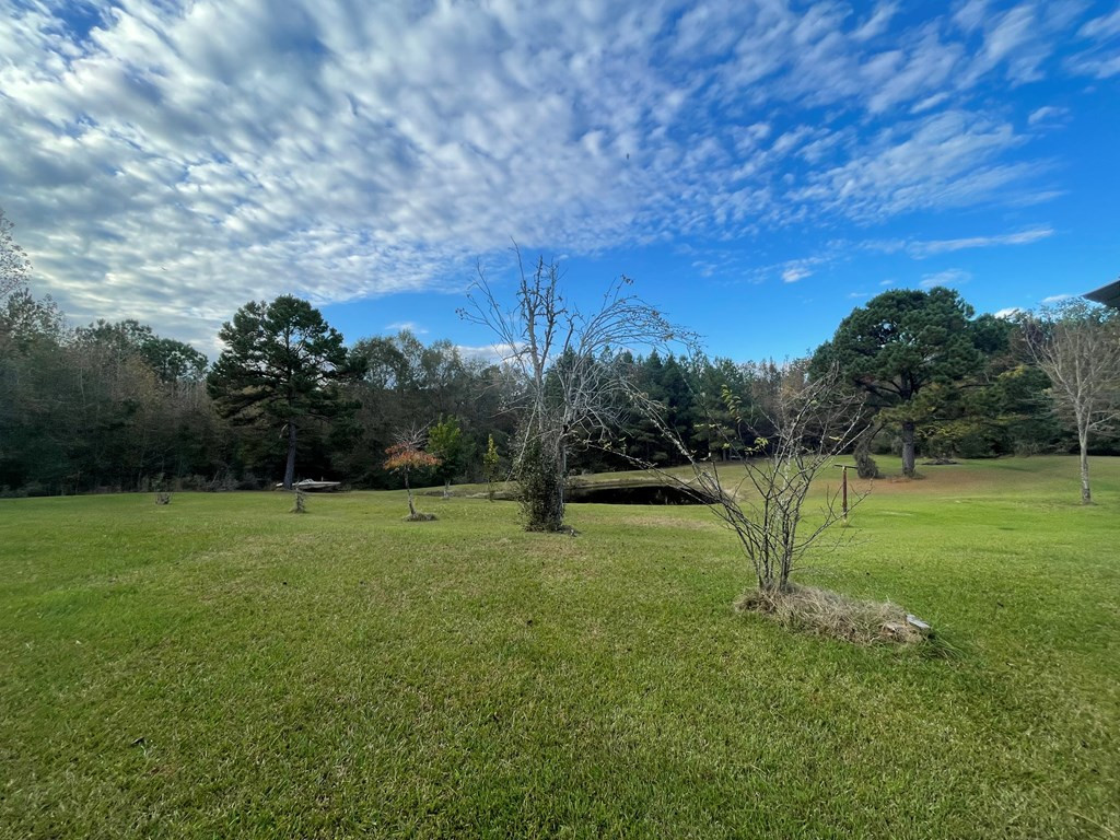 561 Stump Town Road Silver Creek, MS 39663 - Photo 18 of 21 Photo 18