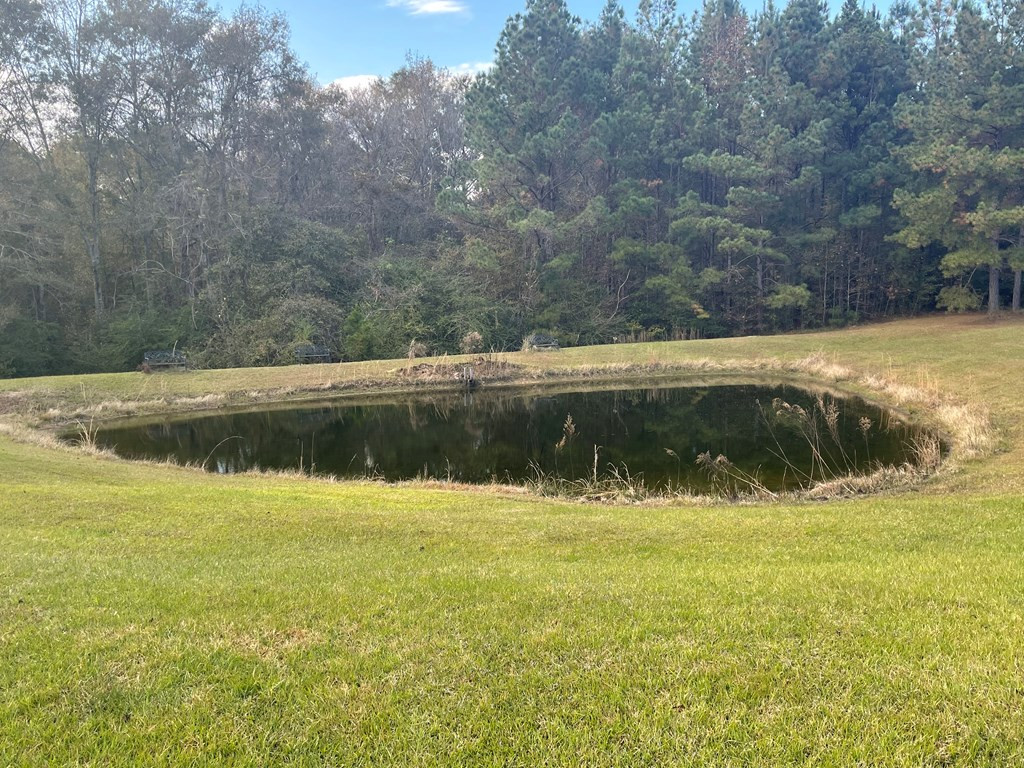 561 Stump Town Road Silver Creek, MS 39663 - Photo 21 of 21 Photo 21
