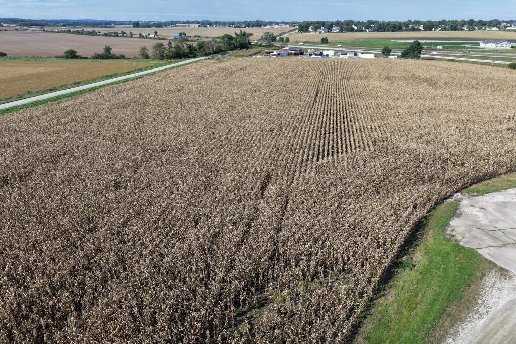 4299 Lewis Access Road Center Point, IA 52213 - Photo 3 of 26 Gallery Image 3