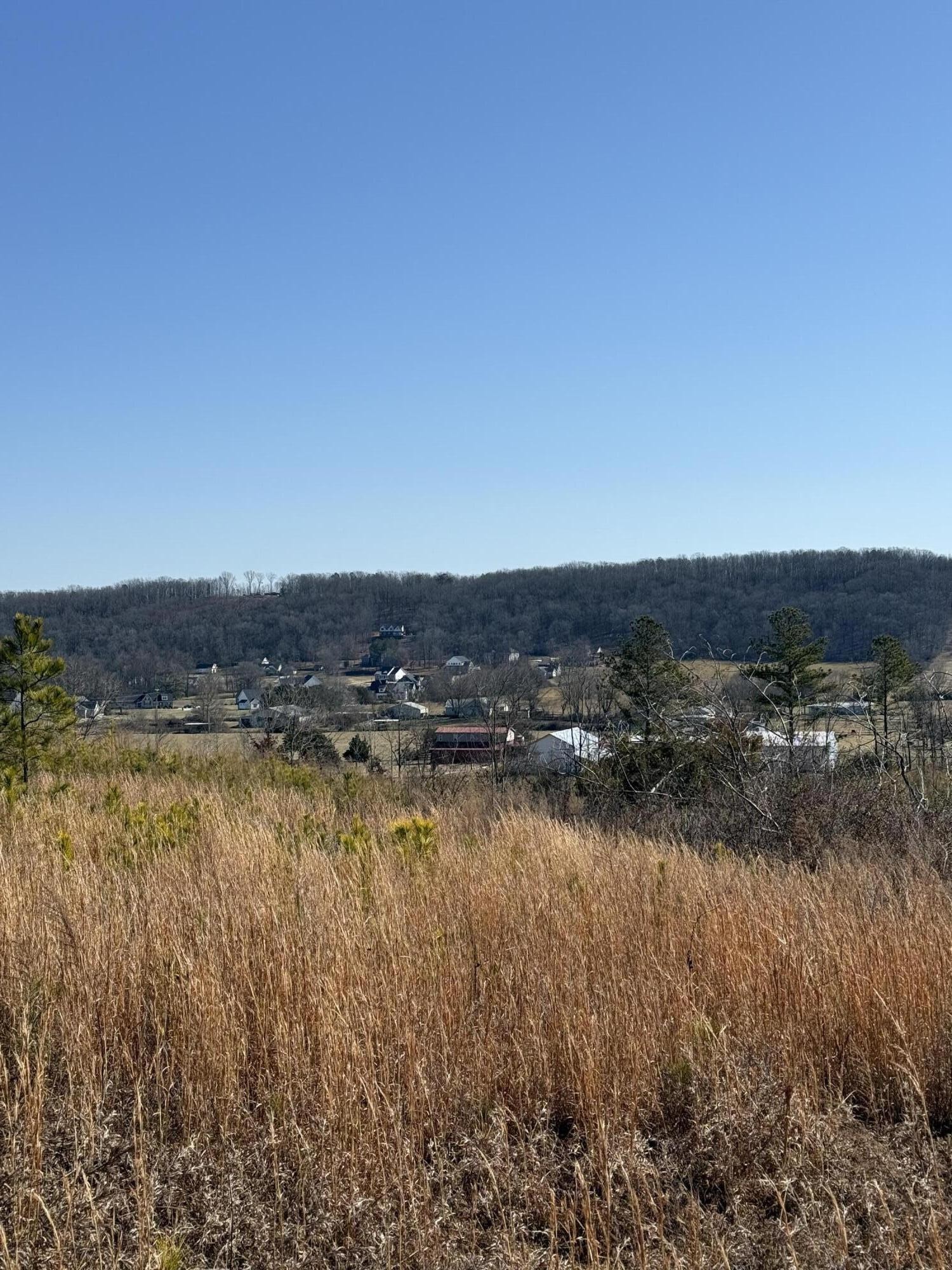 0 Lebbanon Church Valley Road Southwest Cleveland, TN 37311 - Photo 3 of 14 Gallery Image 3