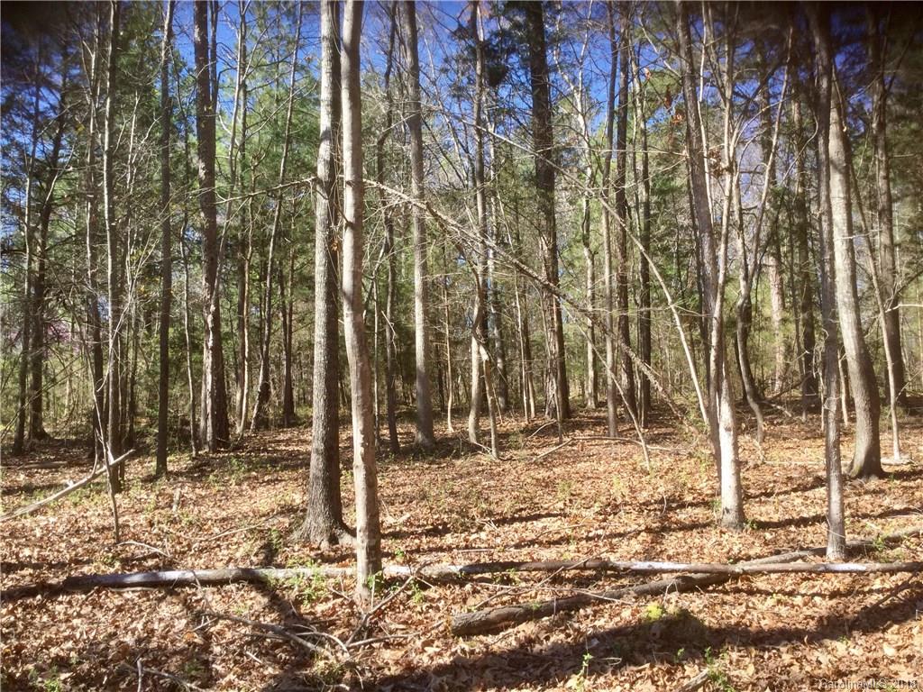 1053 Jim Wilson Road Indian Land, SC 29707 - Photo 18 of 22 Gallery Image 18